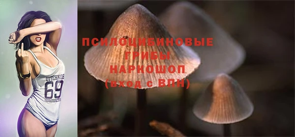 дмт Балабаново